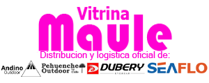 Importadora y Distribuidora VM spa